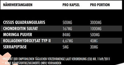 Big Zone Joint Protect 180 Kapseln INAKTIV