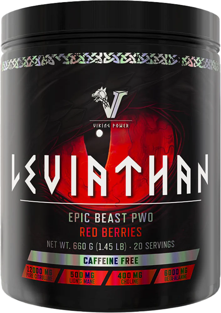 Viking Power - Leviathan Hardcore PWO
