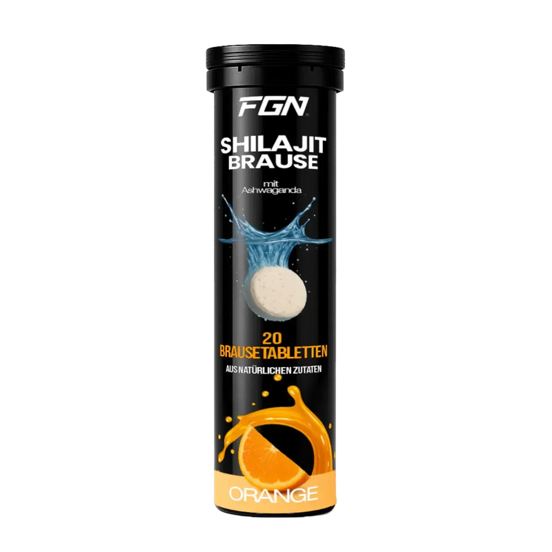 FGN Shilajit 20 Brausetabletten